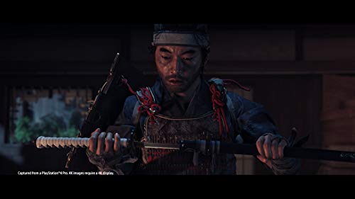 Ghost of Tsushima Special Edition (Steelbook) - (PS4) PlayStation 4 [Pre-Owned] Video Games Sucker Punch   