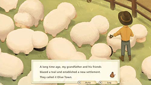 Story of Seasons: Pioneers of Olive Town (Premium Edition) - (NSW) Nintendo Switch Video Games XSEED Games   