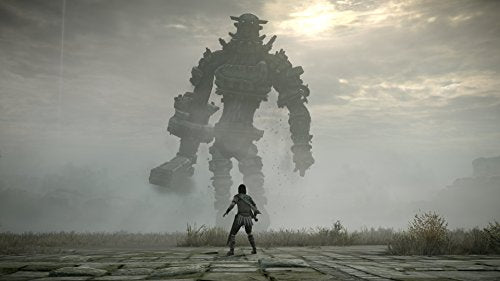Shadow of the Colossus - (PS4) PlayStation 4 Video Games PlayStation   