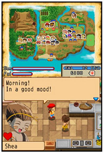 Harvest Moon: Island of Happiness - (NDS) Nintendo DS [Pre-Owned] Video Games Natsume   