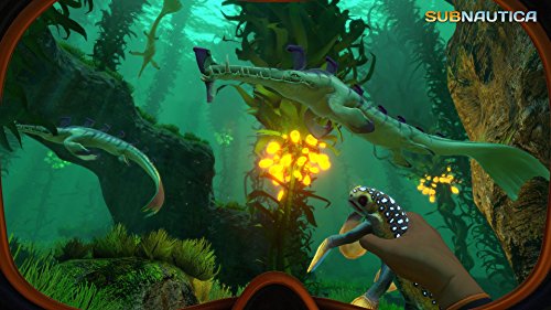 Subnautica - (PS4) PlayStation 4 [Pre-Owned] Video Games Gearbox Publishing   