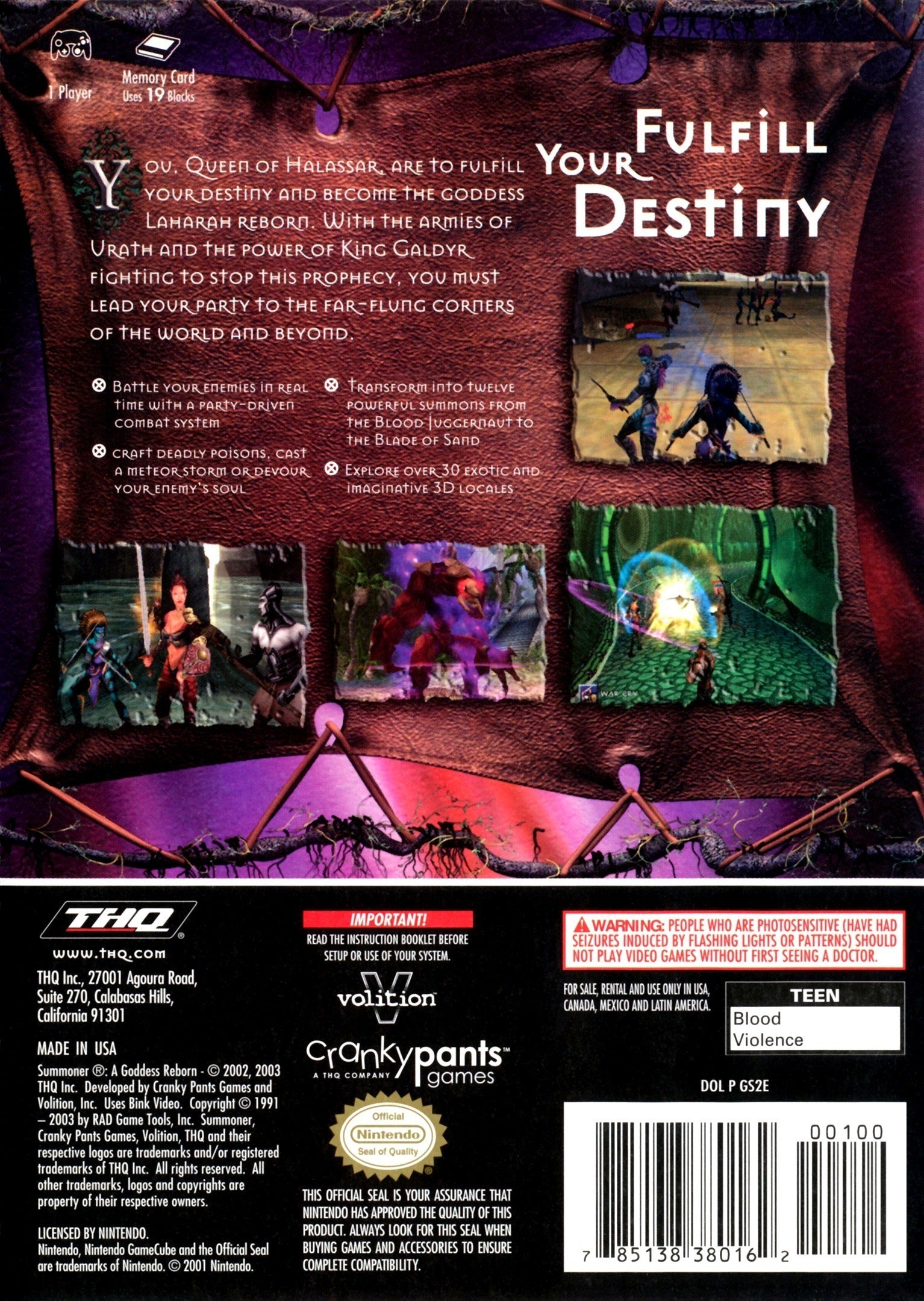 Summoner: A Goddess Reborn - (GC) Gamecube [Pre-Owned] Video Games THQ
