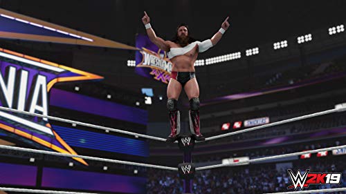 WWE 2K19 - (PS4) PlayStation 4 [Pre-Owned] Video Games 2K Games