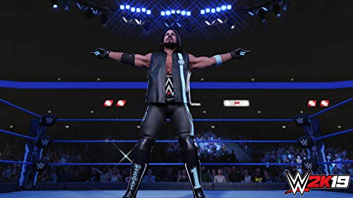 WWE 2K19 - (PS4) PlayStation 4 [Pre-Owned] Video Games 2K Games