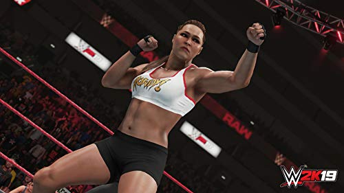 WWE 2K19 - (PS4) PlayStation 4 [Pre-Owned] Video Games 2K Games