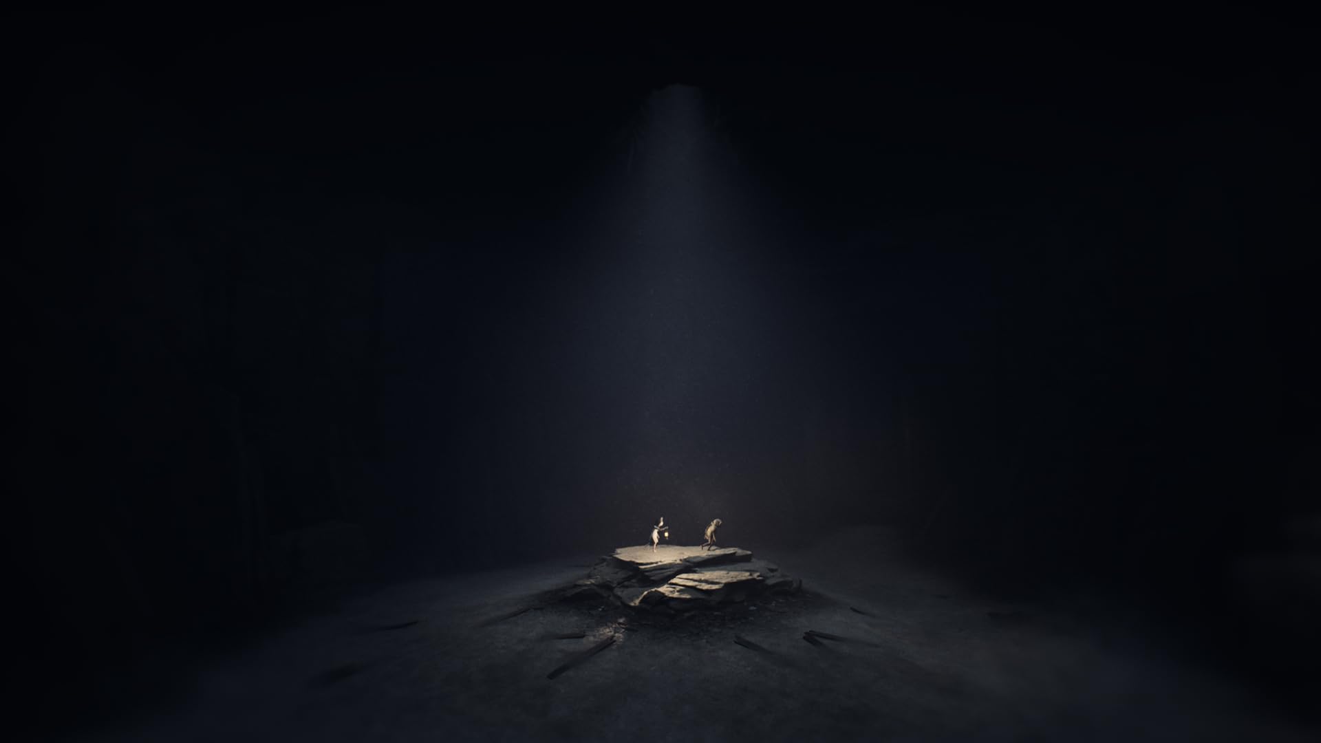 REANIMAL - (NS2) Nintendo Switch 2 Video Games THQ Nordic