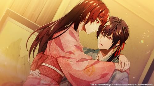 Birushana: Winds of Fate - (NSW) Nintendo Switch