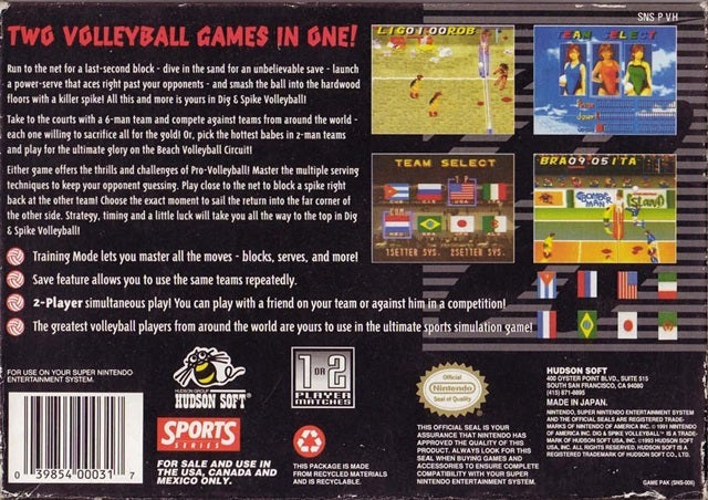 Dig & Spike Volleyball - (SNES) Super Nintendo [Pre-Owned] Video Games Raya Systems   