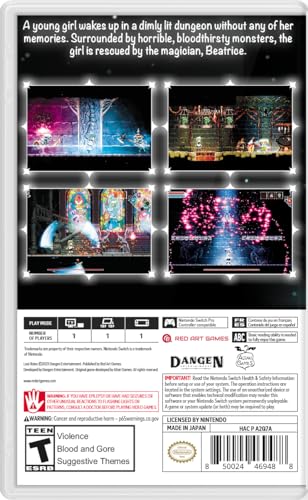 Lost Ruins - (NSW) Nintendo Switch Video Games Red Art Games