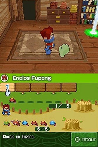 Away Shuffle Dungeon - (NDS) Nintendo DS [Pre-Owned] Video Games Majesco   