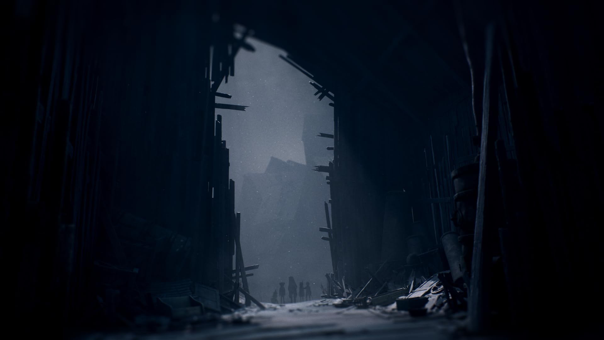 REANIMAL - (NS2) Nintendo Switch 2 Video Games THQ Nordic