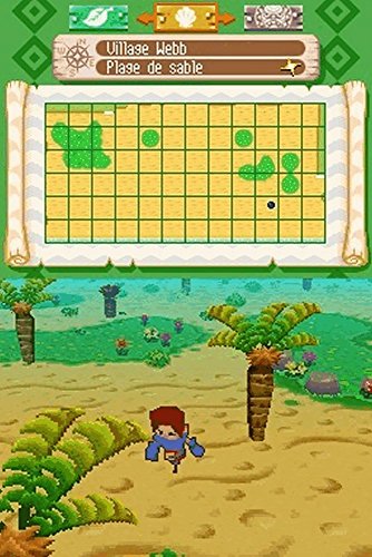 Away Shuffle Dungeon - (NDS) Nintendo DS [Pre-Owned] | J&L Game