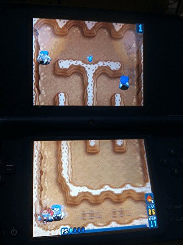 Away Shuffle Dungeon - (NDS) Nintendo DS [Pre-Owned] Video Games Majesco   
