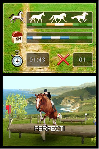 Horse Life - (NDS) Nintendo DS [Pre-Owned] Video Games D3 Publisher   