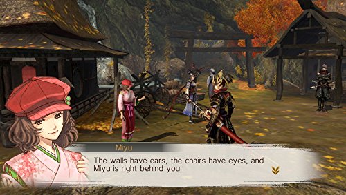 Toukiden: Kiwami - (PSV) PlayStation Vita [Pre-Owned] Video Games KT