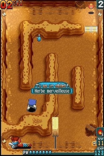 Away Shuffle Dungeon - (NDS) Nintendo DS [Pre-Owned] Video Games Majesco   
