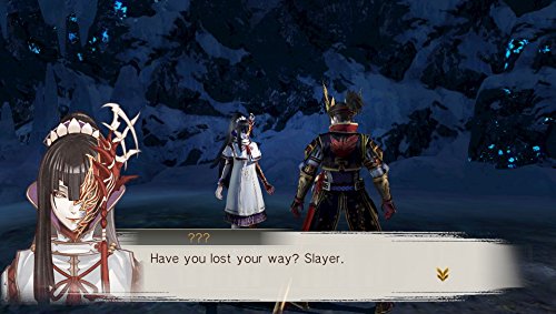 Toukiden: Kiwami - (PSV) PlayStation Vita [Pre-Owned] Video Games KT