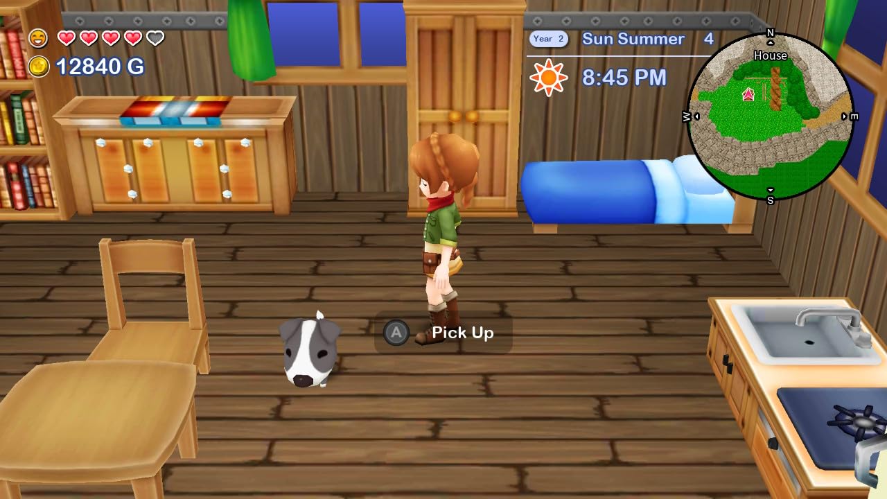 Harvest Moon: The Lost Valley & Skytree Village - (NSW) Nintendo Switch
