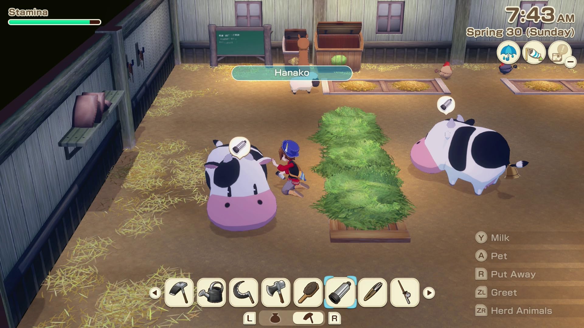 Story of Seasons Grand Bazaar (Premium Edition) - (NS2) Nintendo Switch 2 Video Games XSEED Games