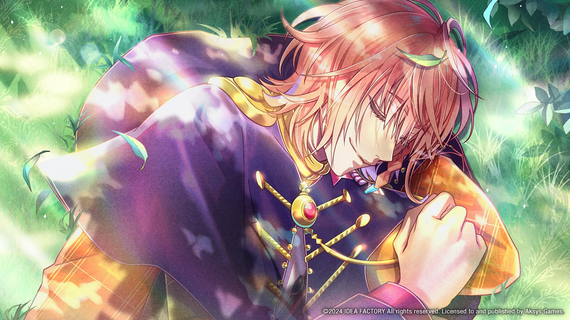 Mistonia's Hope -The Lost Delight- - (NSW) Nintendo Switch Video Games Aksys