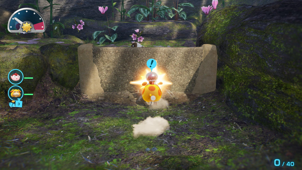 Pikmin 4 + Dandori Academy - (NS2) Nintendo Switch 2