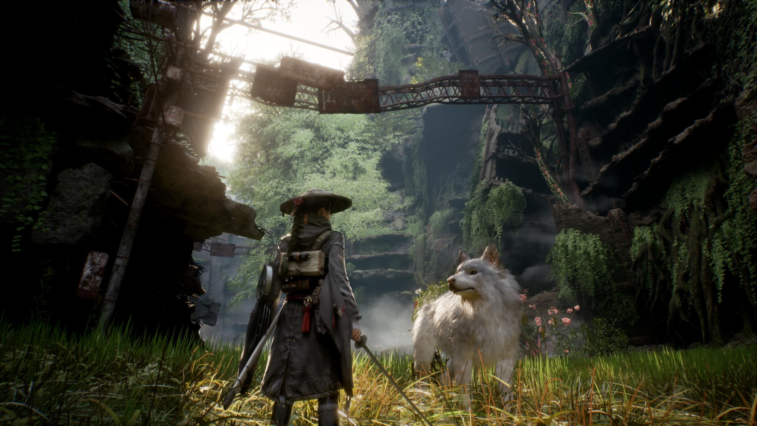 Beast of Reincarnation - (PS5) PlayStation 5 Fictions