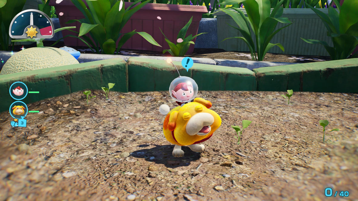 Pikmin 4 + Dandori Academy - (NS2) Nintendo Switch 2
