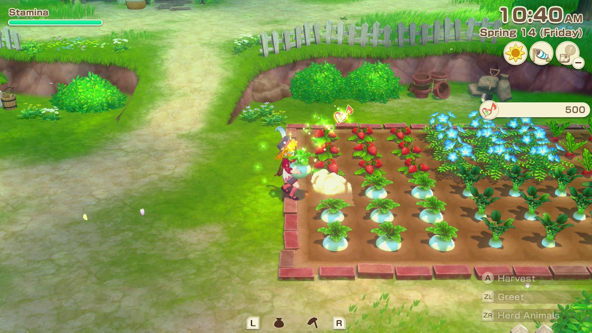 Story of Seasons Grand Bazaar (Premium Edition) - (NS2) Nintendo Switch 2 Video Games XSEED Games