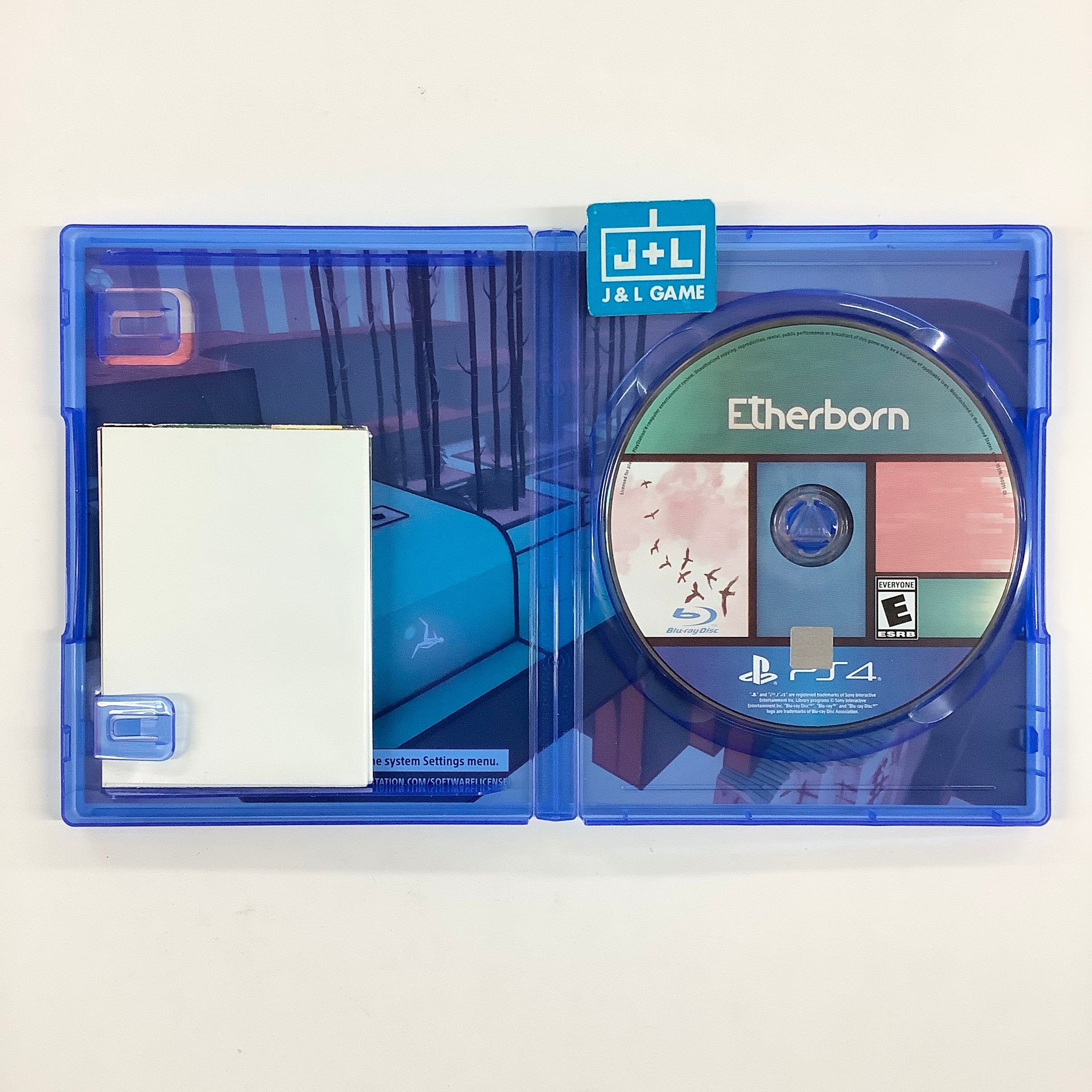Etherborn - (PS4) PlayStation 4 [Pre-Owned] Video Games iam8bit