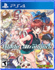 Blade Strangers - (PS4) PlayStation 4 [Pre-Owned] Video Games Nicalis   