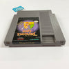 Dragon's Lair - (NES) Nintendo Entertainment System [Pre-Owned] Video Games Imagesoft   