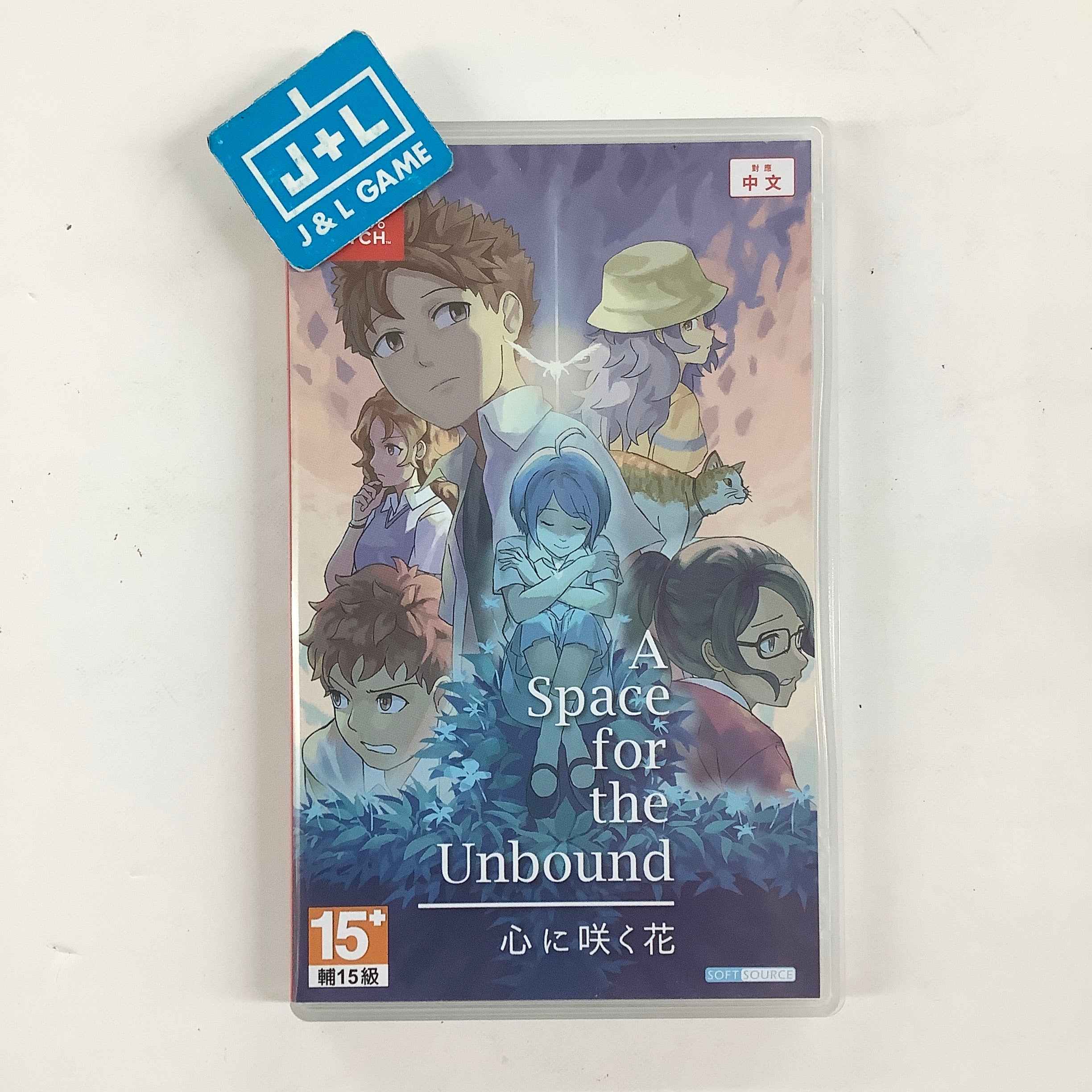 A Space for the Unbound (English Subtitle) - (NSW) Nintendo Switch [Pre-Owned] (Asia Import) Video Games NINTENDO SWITCH