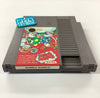 Bubble Bobble - (NES) Nintendo Entertainment System [Pre-Owned] Video Games Taito Corporation   