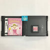 Pinkalicious - (NDS) Nintendo DS [Pre-Owned] Video Games GameMill Publishing   