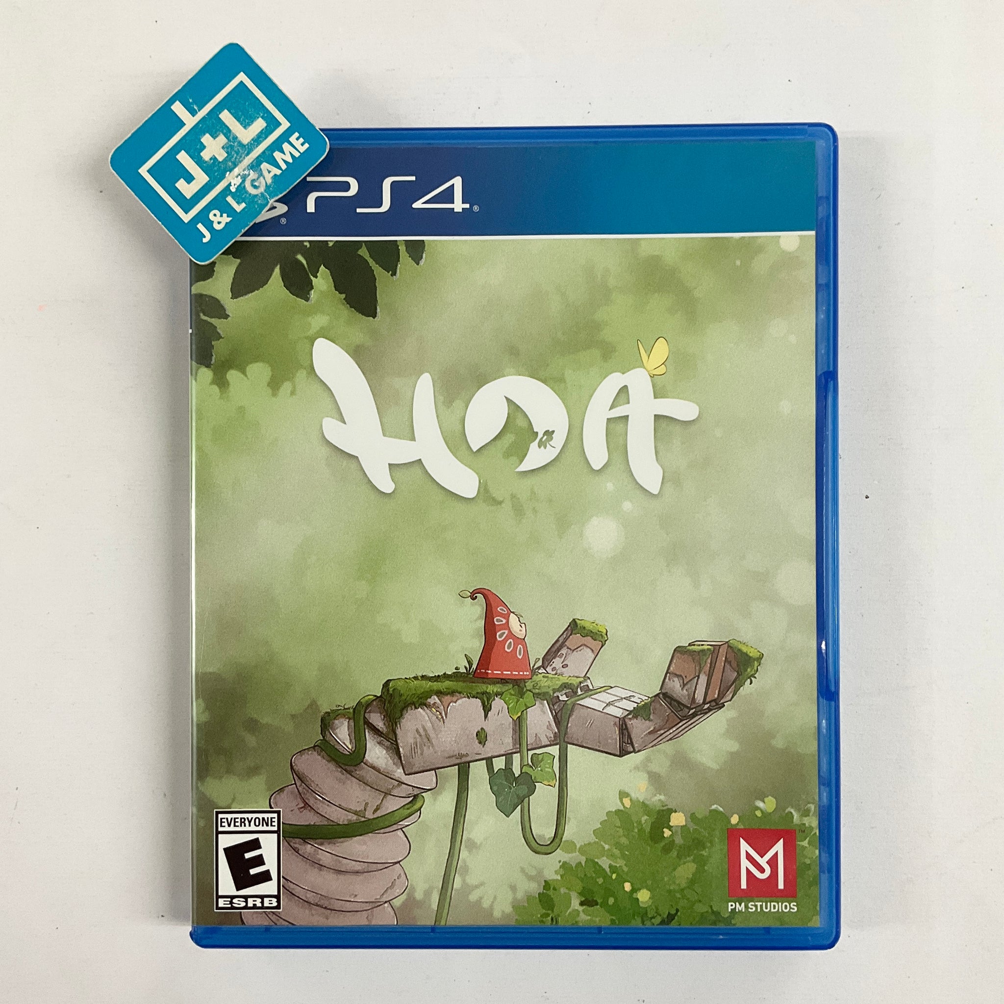Hoa - (PS4) PlayStation 4 [Pre-Owned] Video Games PM Studios   