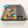 Kung-Fu Heroes - (NES) Nintendo Entertainment System [Pre-Owned] Video Games Culture Brain   