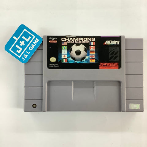 Champions World Class Soccer - (SNES) Super Nintendo [Pre-Owned] Video Games Acclaim   