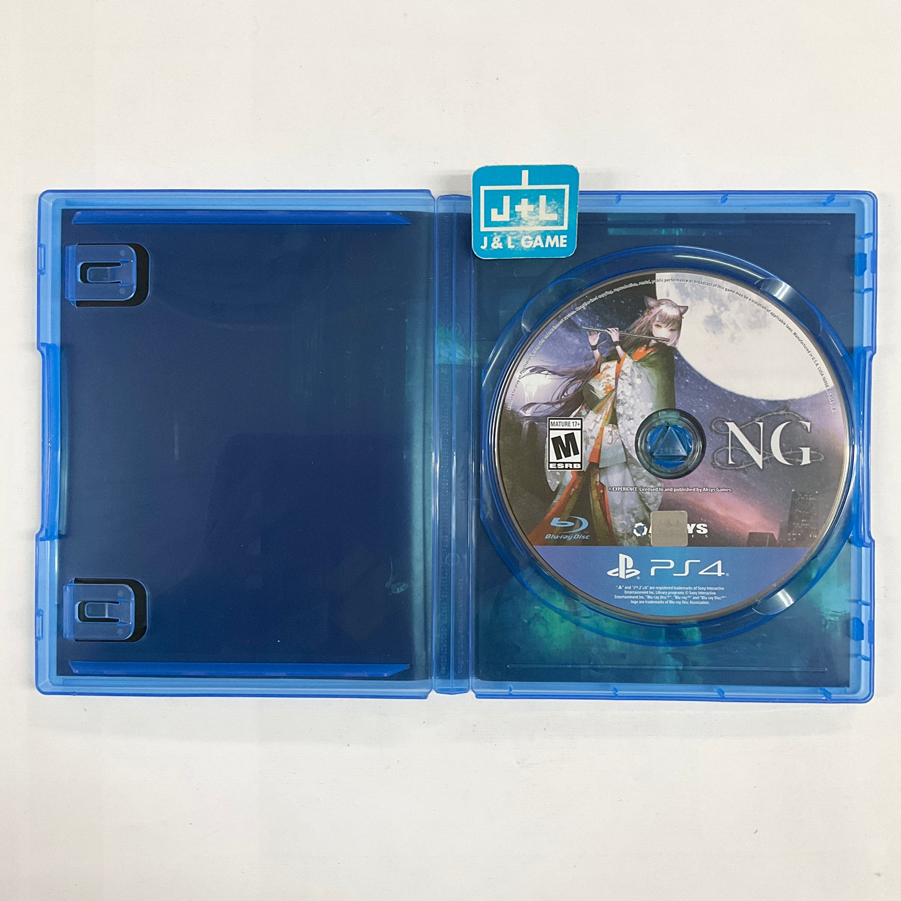 Spirit Hunter: NG - (PS4) PlayStation 4 [Pre-Owned] Video Games Aksys   