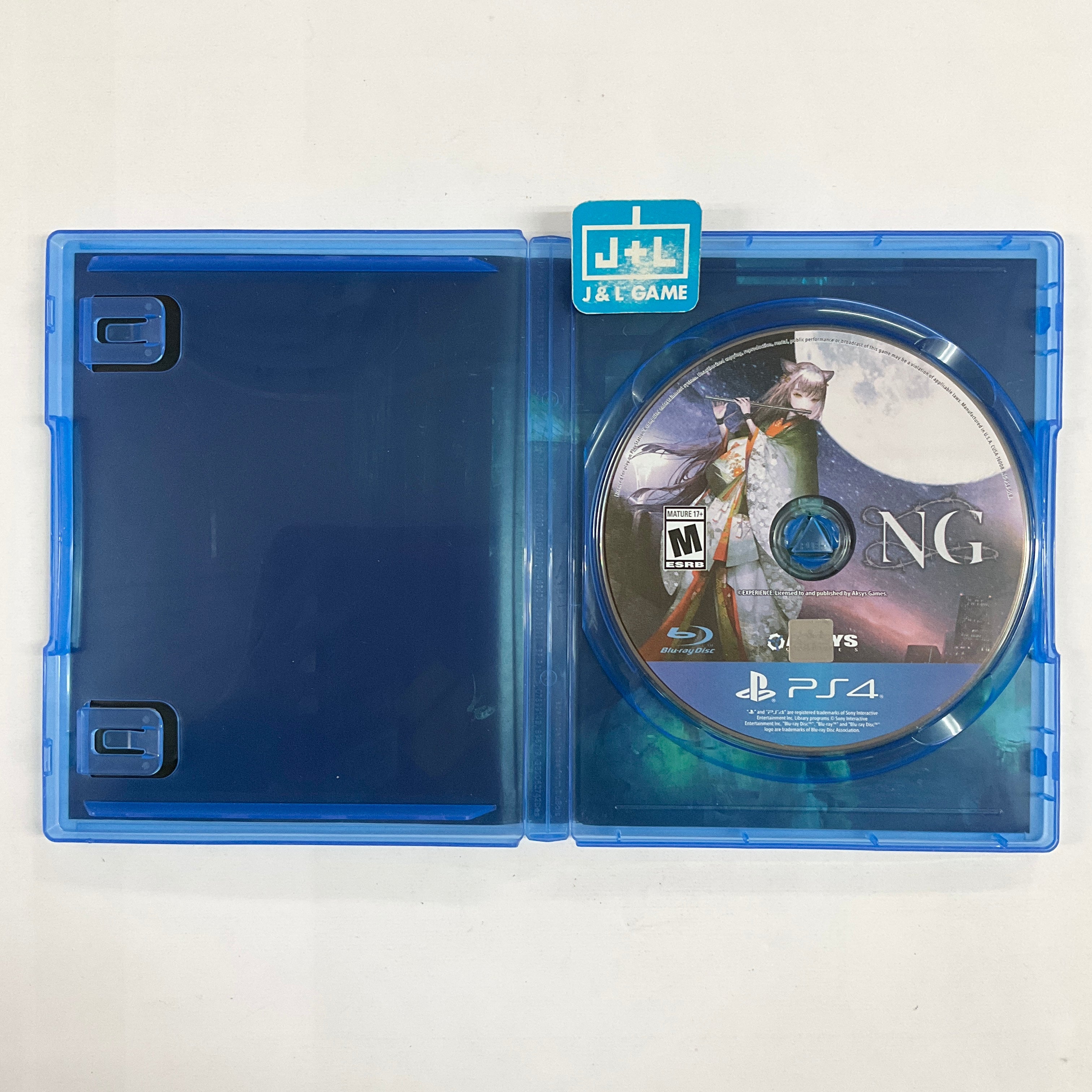 Spirit Hunter: NG - (PS4) PlayStation 4 [Pre-Owned] Video Games Aksys Games