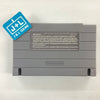 Joe & Mac 2: Lost in the Tropics - (SNES) Super Nintendo [Pre-Owned] Video Games Data East   