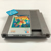 Digger T. Rock: The Legend of the Lost City - (NES) Nintendo Entertainment System [Pre-Owned] Video Games Milton Bradley   
