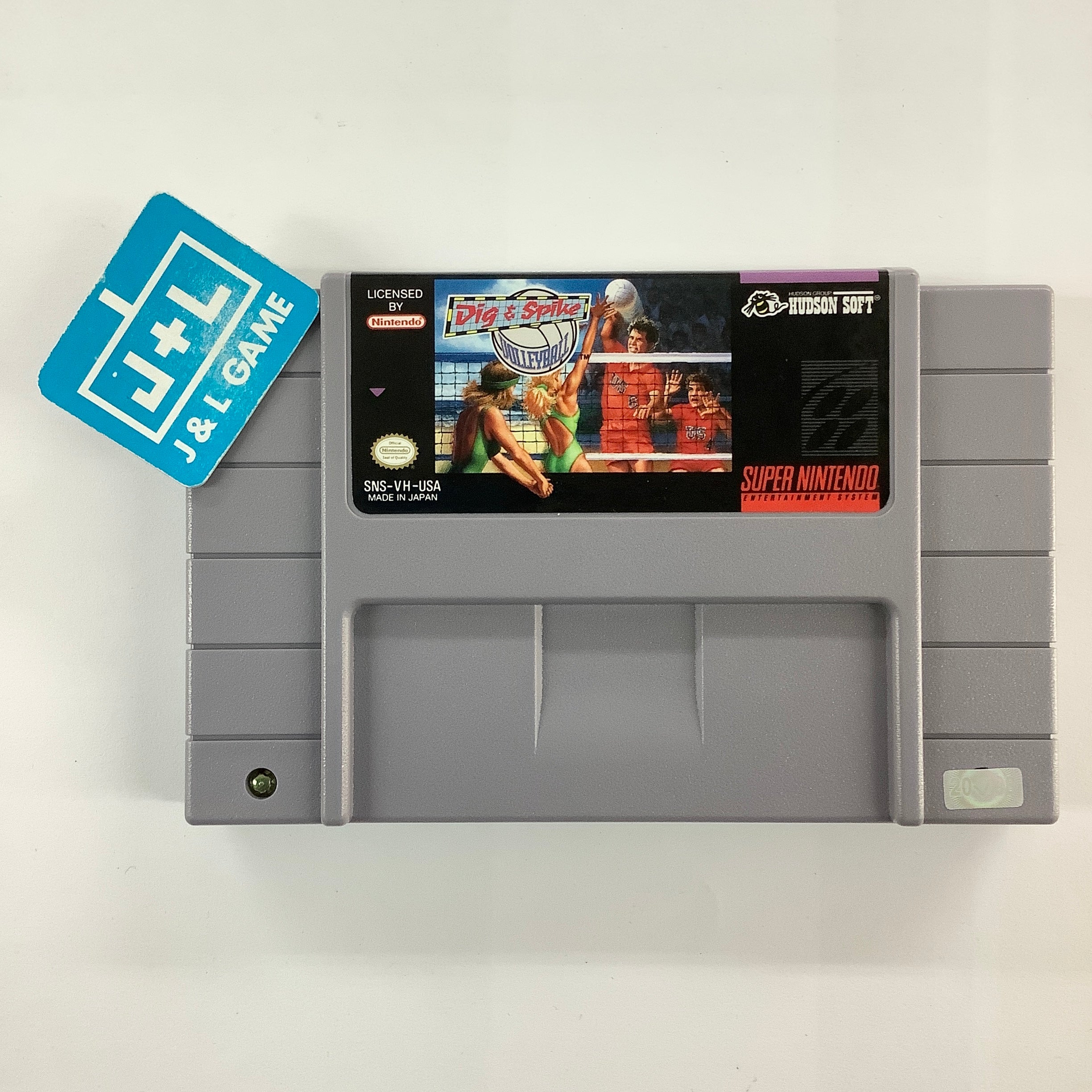 Dig & Spike Volleyball - (SNES) Super Nintendo [Pre-Owned] Video Games Raya Systems   