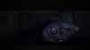 White Day: A Labyrinth Named School - (PS5) PlayStation 5 Video Games PQube   