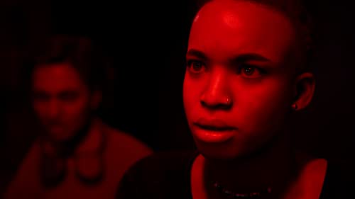 The Dark Pictures Anthology: The Devil in Me - (PS4) PlayStation 4 Video Games BANDAI NAMCO Entertainment   