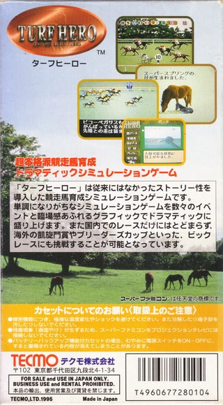 Turf Hero - (SFC) Super Famicom [Pre-Owned] (Japanese Import) Video Games Tecmo   