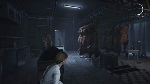 Remothered: Broken Porcelain - (PS4) PlayStation 4 [Pre-Owned] Video Games Modus   