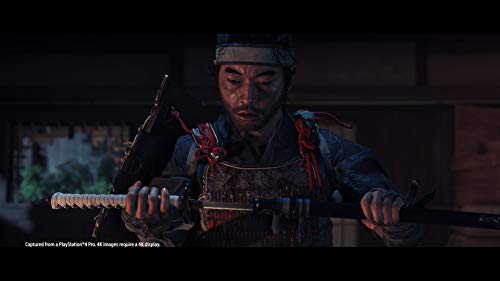 Ghost of Tsushima (Special Edition) - (PS4) PlayStation 4 [Pre-Owned] Video Games Sucker Punch   