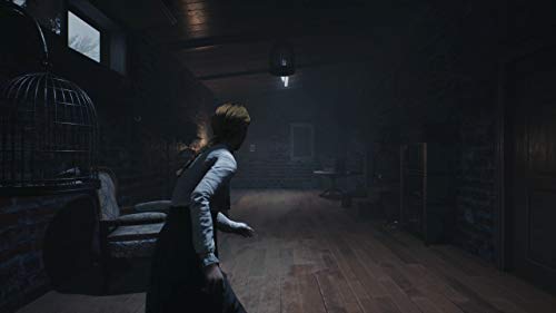 Remothered: Broken Porcelain - (PS4) PlayStation 4 [Pre-Owned] Video Games Modus   