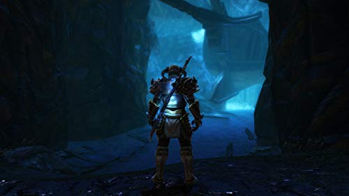 Kingdoms of Amalur: Re-Reckoning - (XB1) Xbox One Video Games THQ Nordic   
