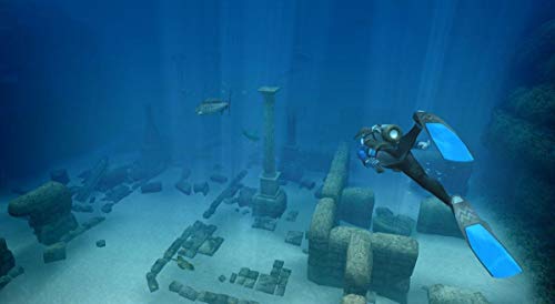 Endless Ocean: Blue World - Nintendo Wii [Pre-Owned] Video Games Nintendo   